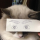 Image for article titled Fake Cartoon Eyes for Cats Make Everything Better